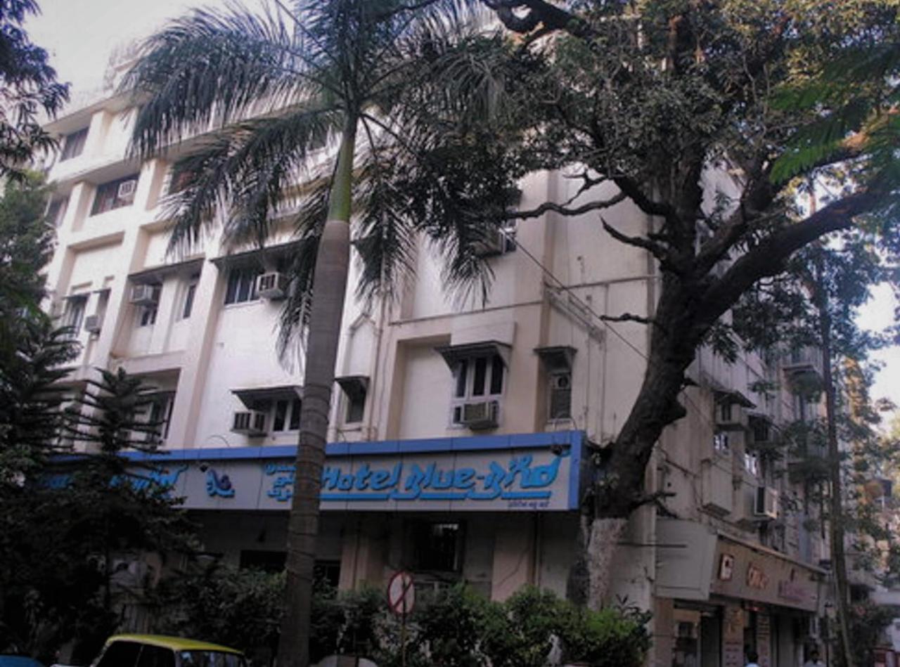 Hotel Blue Bird Colaba Mandve Buitenkant foto